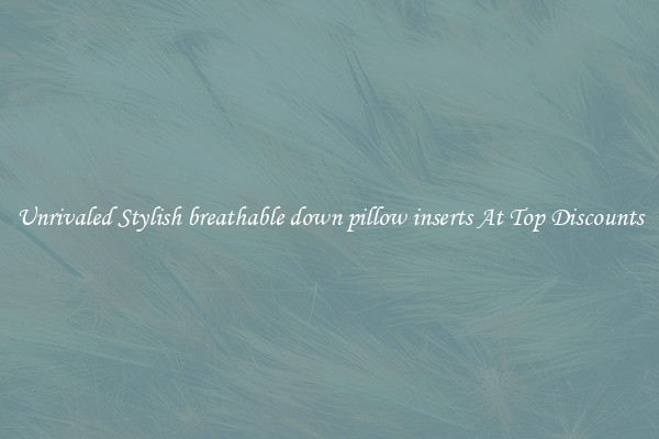 Unrivaled Stylish breathable down pillow inserts At Top Discounts