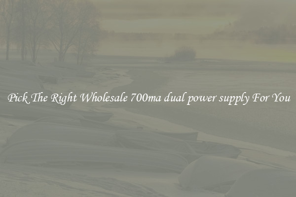 Pick The Right Wholesale 700ma dual power supply For You
