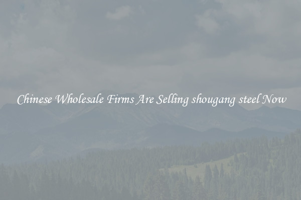 Chinese Wholesale Firms Are Selling shougang steel Now