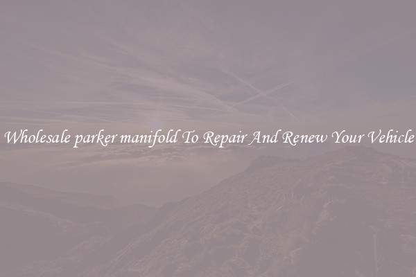 Wholesale parker manifold To Repair And Renew Your Vehicle