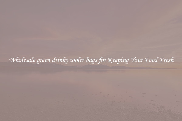 Wholesale green drinks cooler bags for Keeping Your Food Fresh