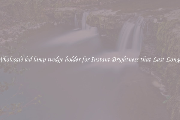 Wholesale led lamp wedge holder for Instant Brightness that Last Longer