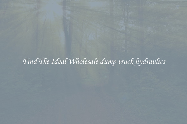 Find The Ideal Wholesale dump truck hydraulics