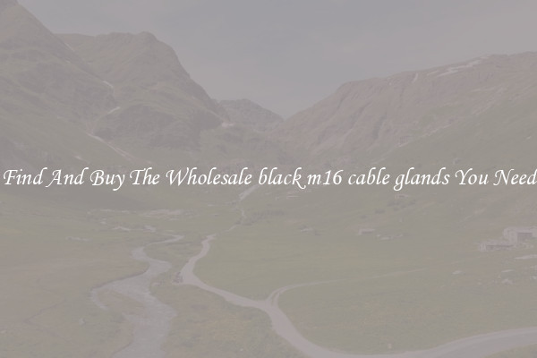 Find And Buy The Wholesale black m16 cable glands You Need