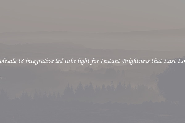 Wholesale t8 integrative led tube light for Instant Brightness that Last Longer