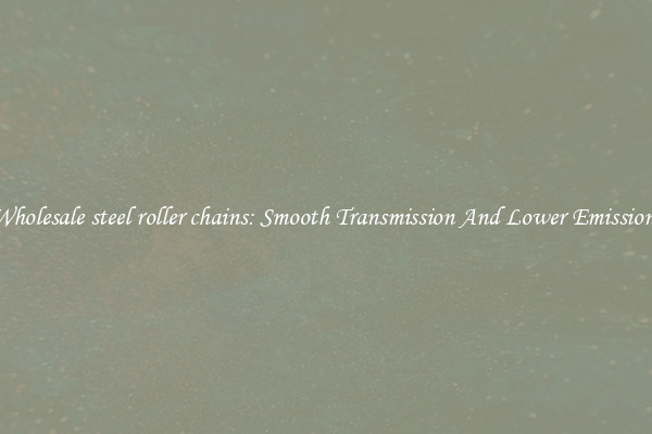 Wholesale steel roller chains: Smooth Transmission And Lower Emissions