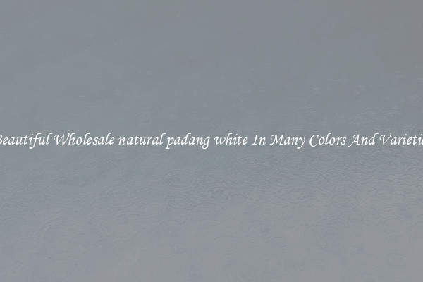 Beautiful Wholesale natural padang white In Many Colors And Varieties