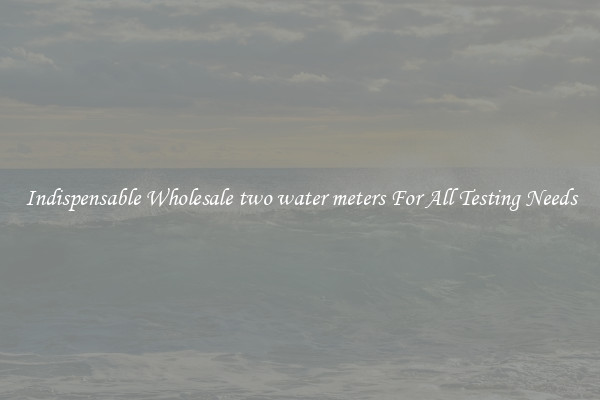 Indispensable Wholesale two water meters For All Testing Needs