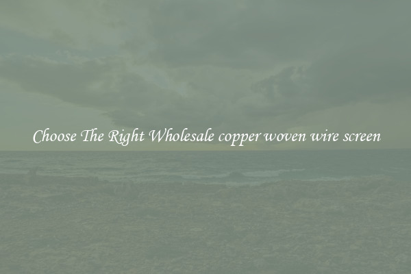 Choose The Right Wholesale copper woven wire screen
