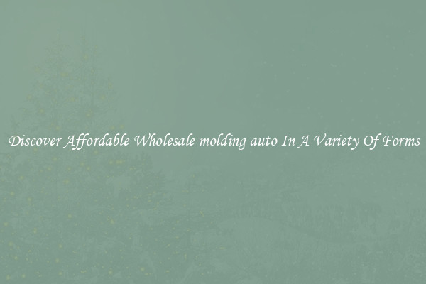 Discover Affordable Wholesale molding auto In A Variety Of Forms
