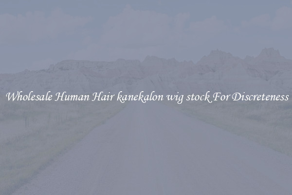 Wholesale Human Hair kanekalon wig stock For Discreteness