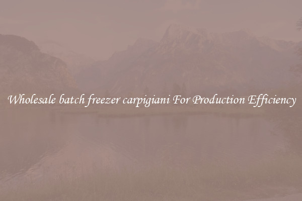 Wholesale batch freezer carpigiani For Production Efficiency