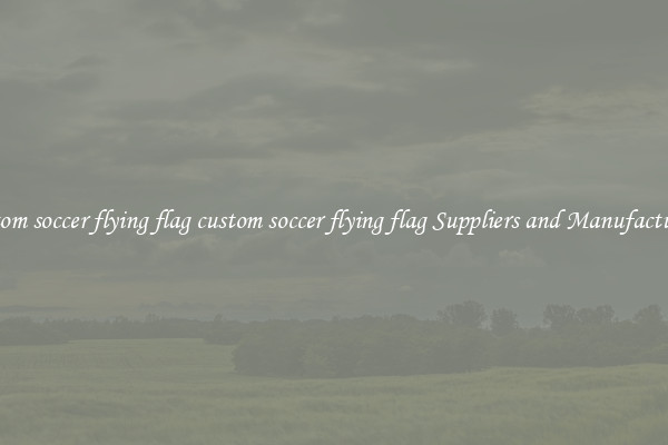 custom soccer flying flag custom soccer flying flag Suppliers and Manufacturers