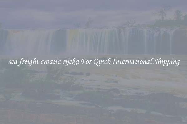 sea freight croatia rijeka For Quick International Shipping