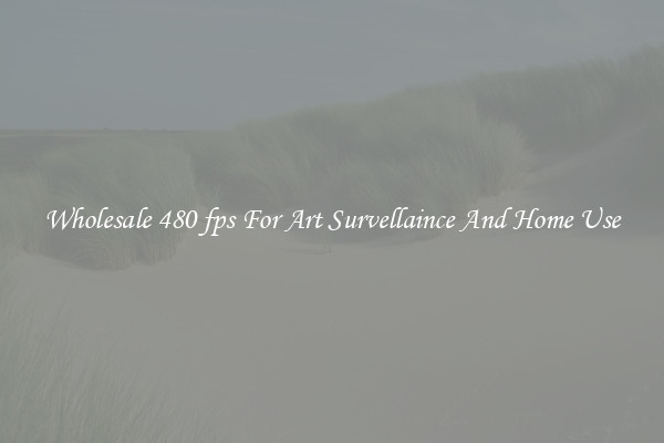 Wholesale 480 fps For Art Survellaince And Home Use