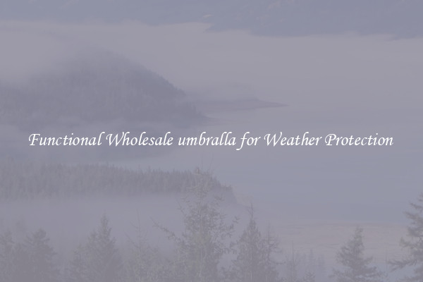Functional Wholesale umbralla for Weather Protection 