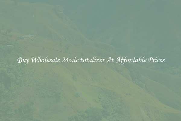 Buy Wholesale 24vdc totalizer At Affordable Prices