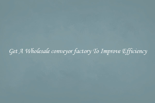 Get A Wholesale conveyor factory To Improve Efficiency